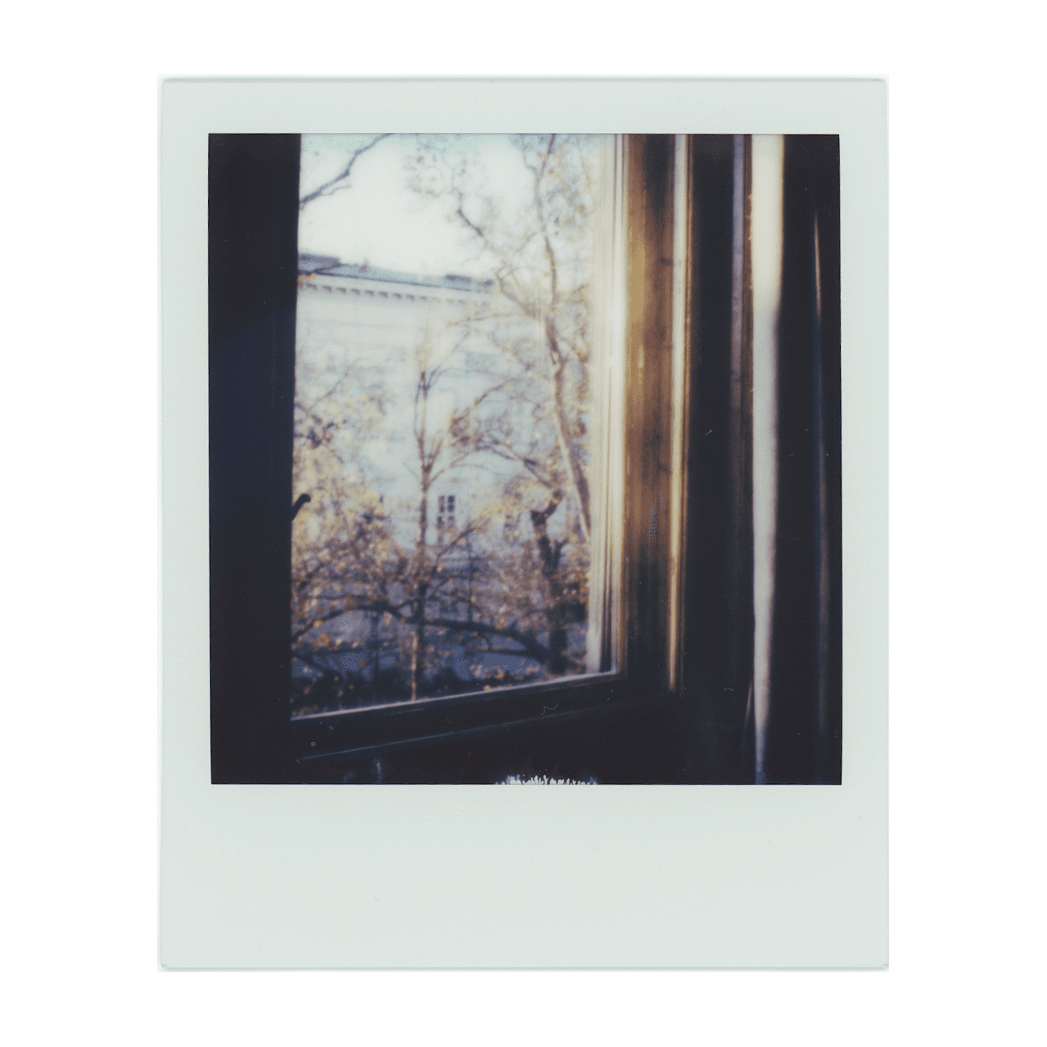 2-24-4