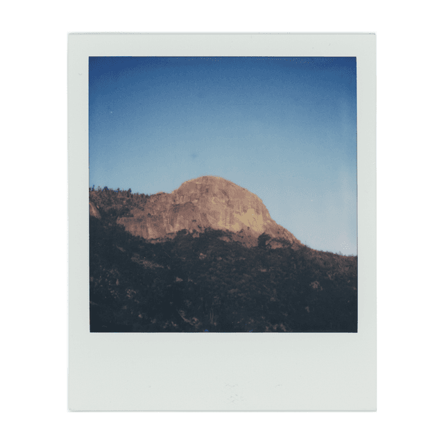 2-21-4